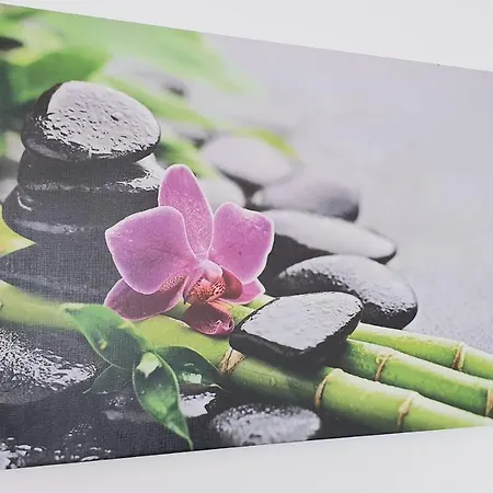 Schoene Aussicht * Langenargen