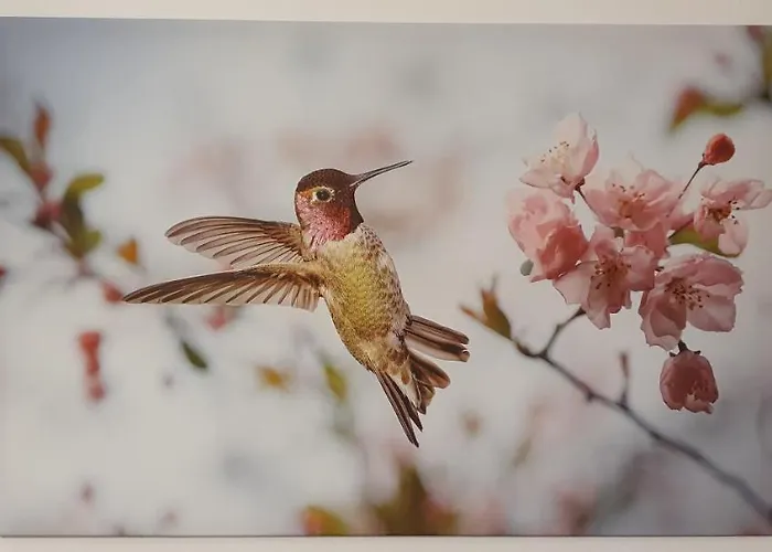 Schoene Aussicht * Langenargen